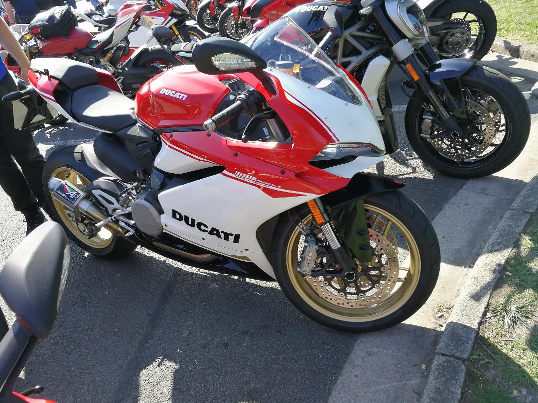 959 Pani.jpg