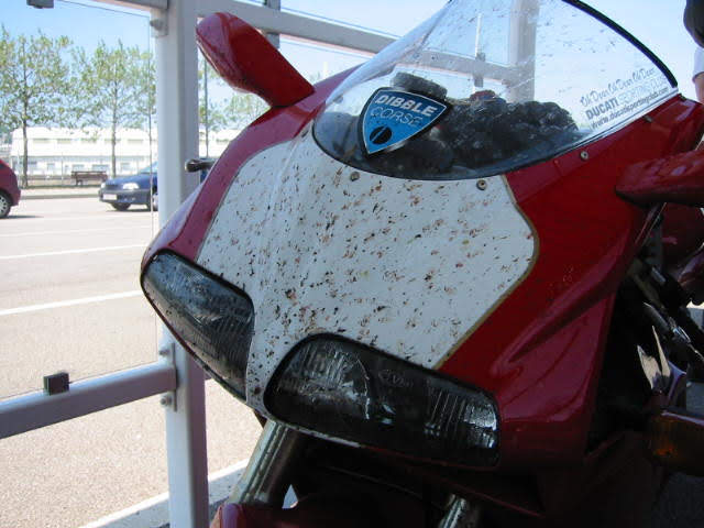 996 Flys.JPG