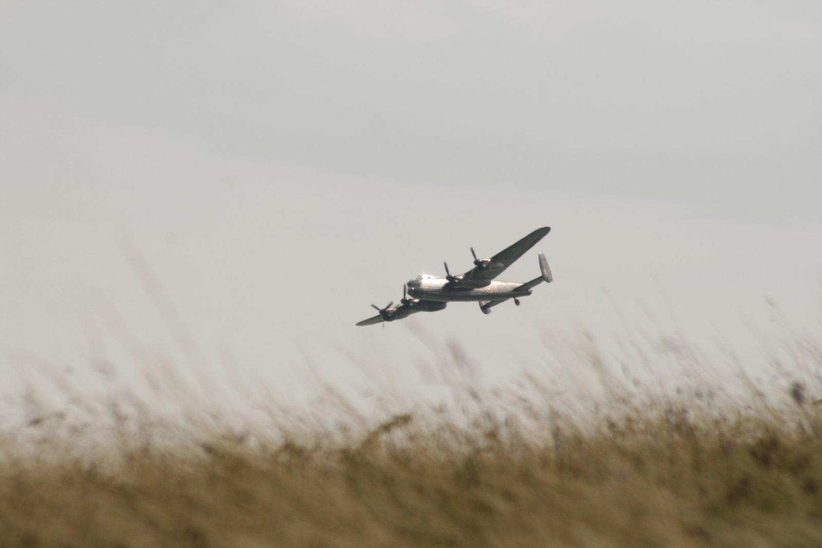 _MG_2610.JPG