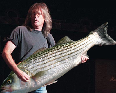 Bass_player.jpg