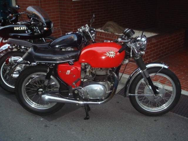 BSA A65 spitfire 02.jpg