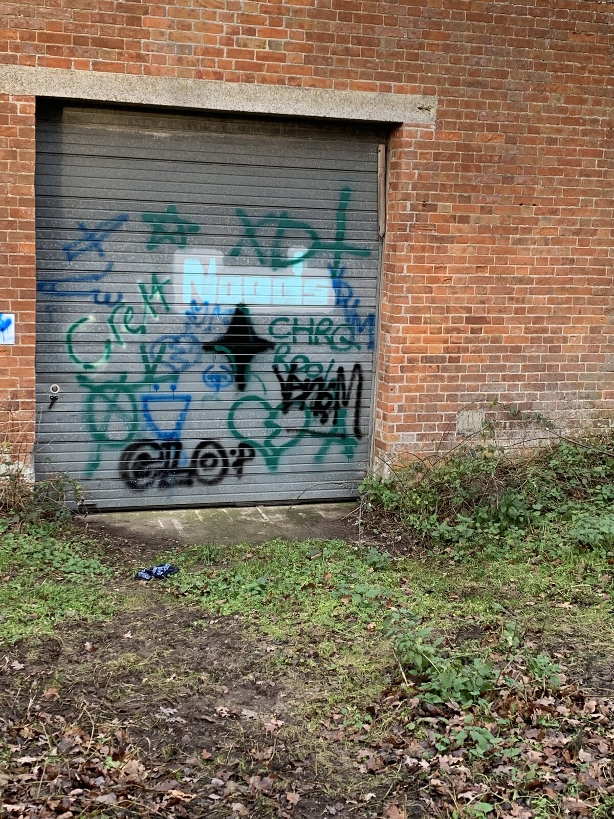 C0D92155-2716-4C7D-9B64-902B8FD83D34.jpeg