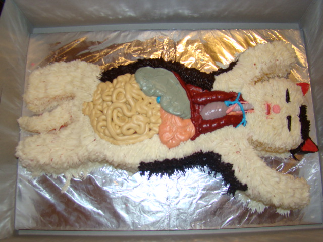 cat-dissection.jpg