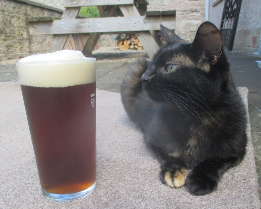 CatBeer.jpg