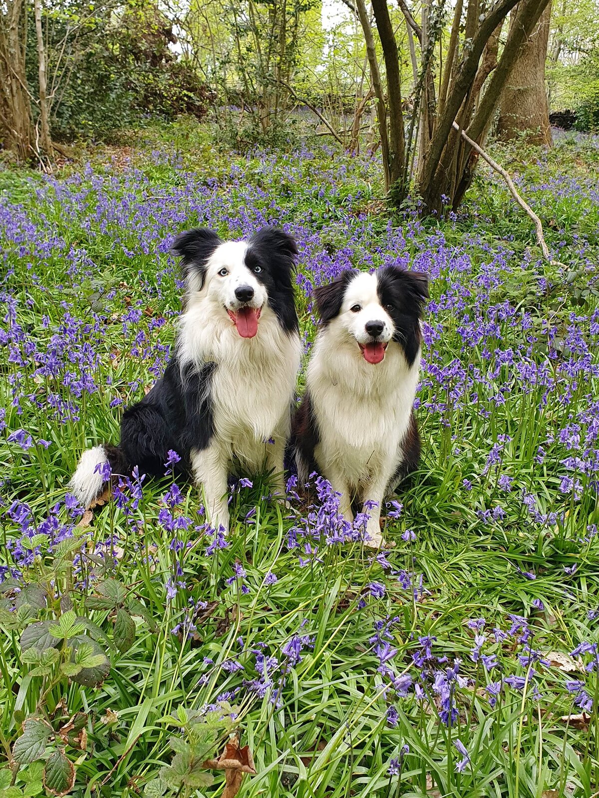 Chas & 'Little' Meg.jpg