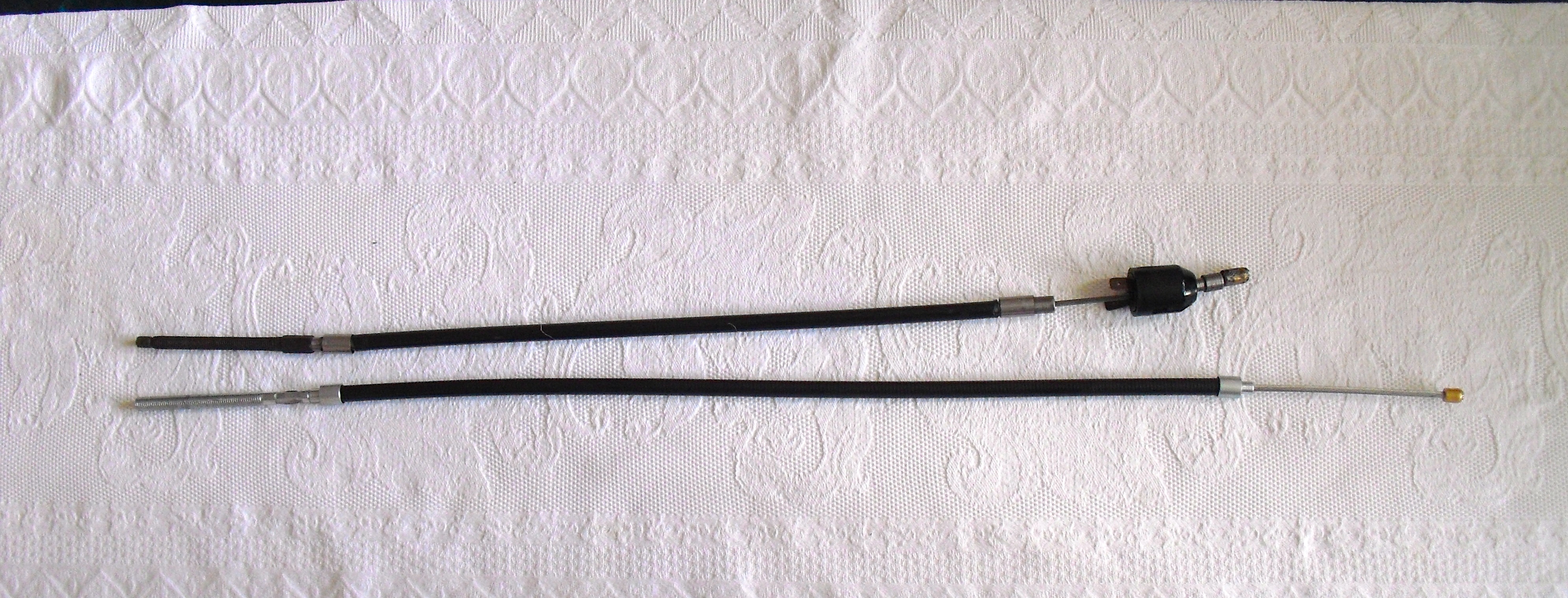CIMG1637.JPG
