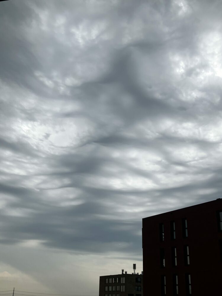 cloud-gallery-4546-1-scaled.jpeg