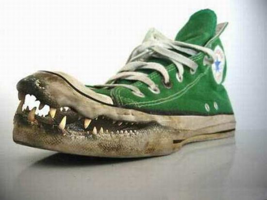 corocodile-or-alligator-converse-funny-shoes1_SOwur_23163.jpg