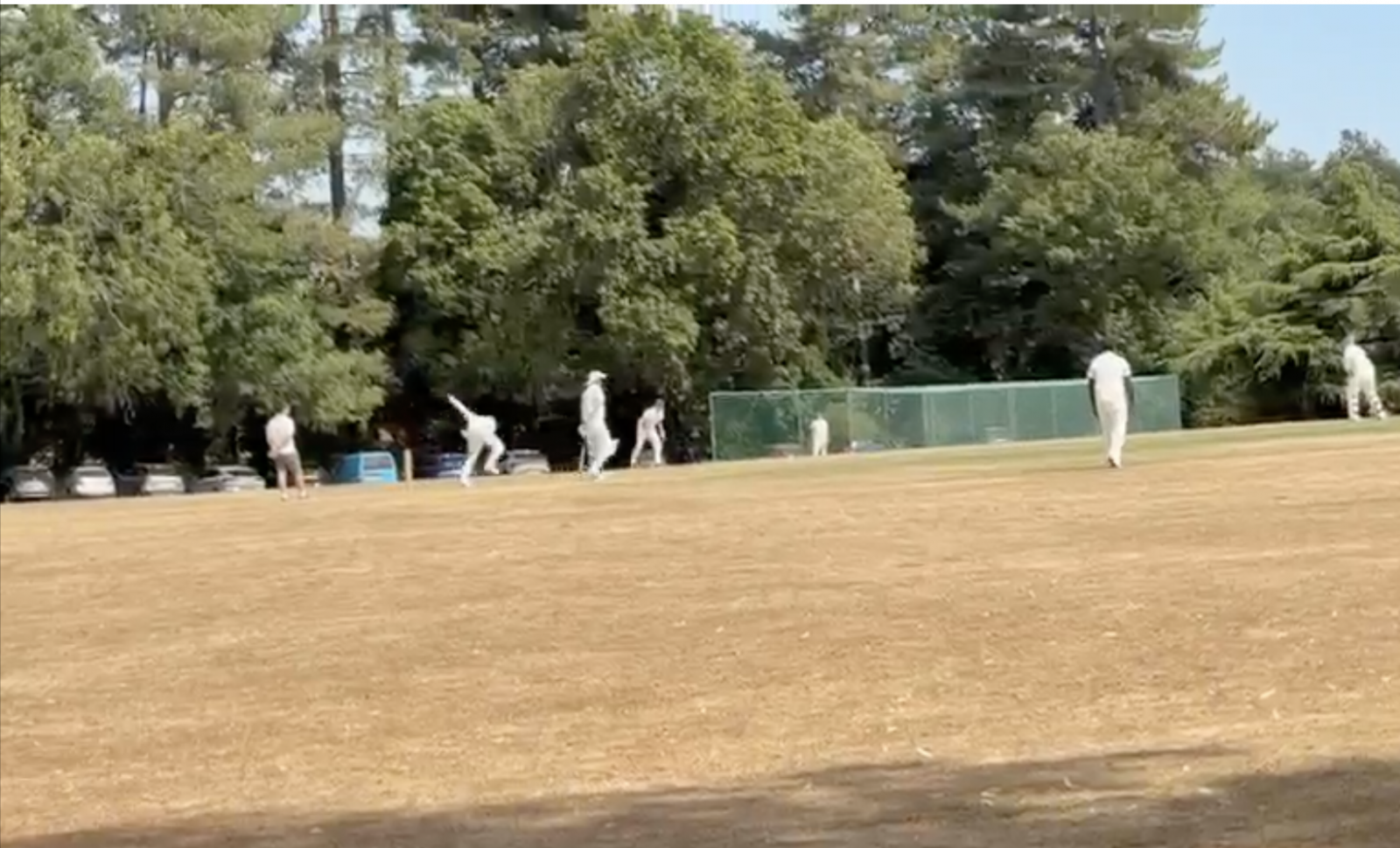 Cricket Juky 2026.png