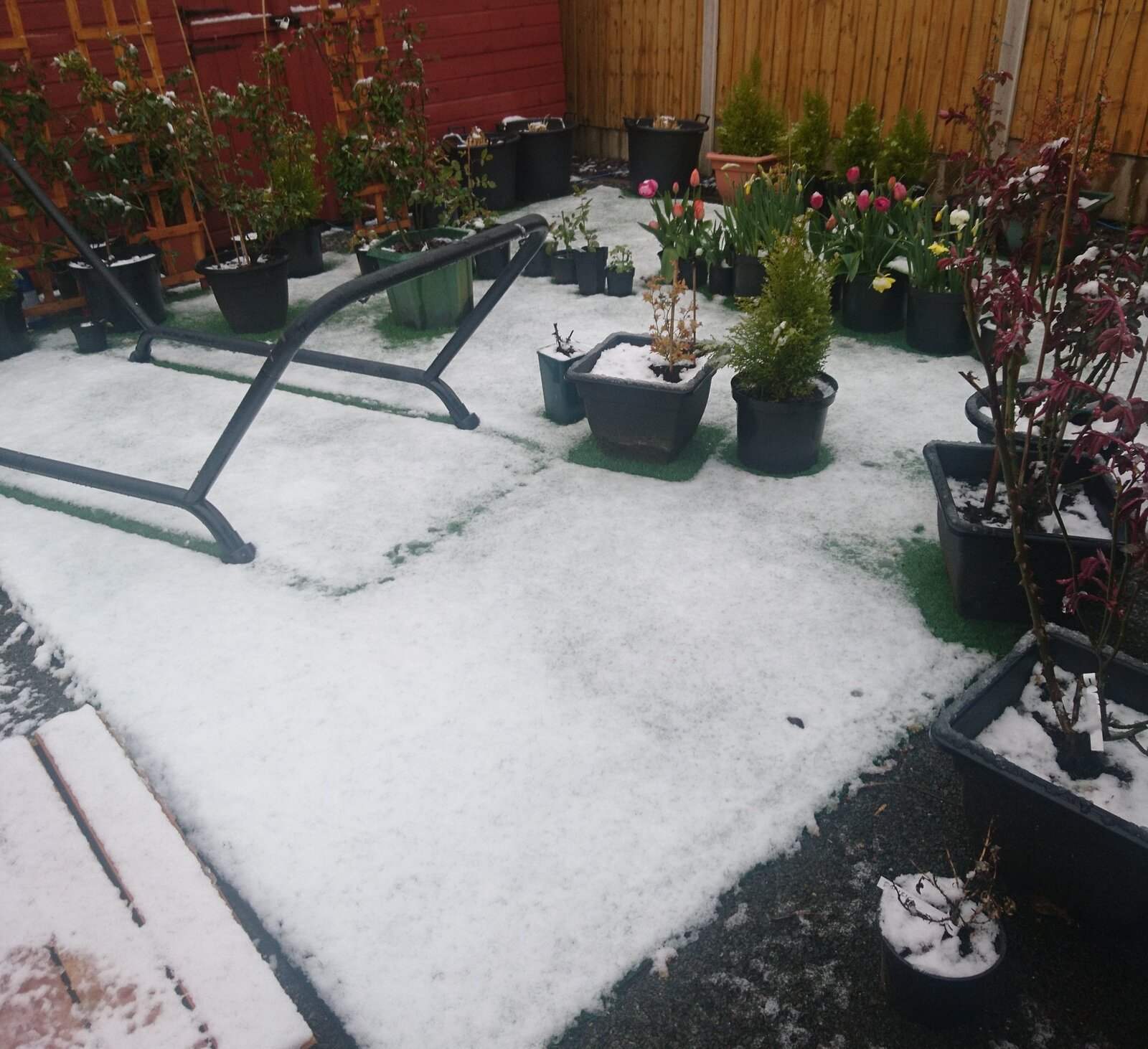 cropgarden snow.jpg