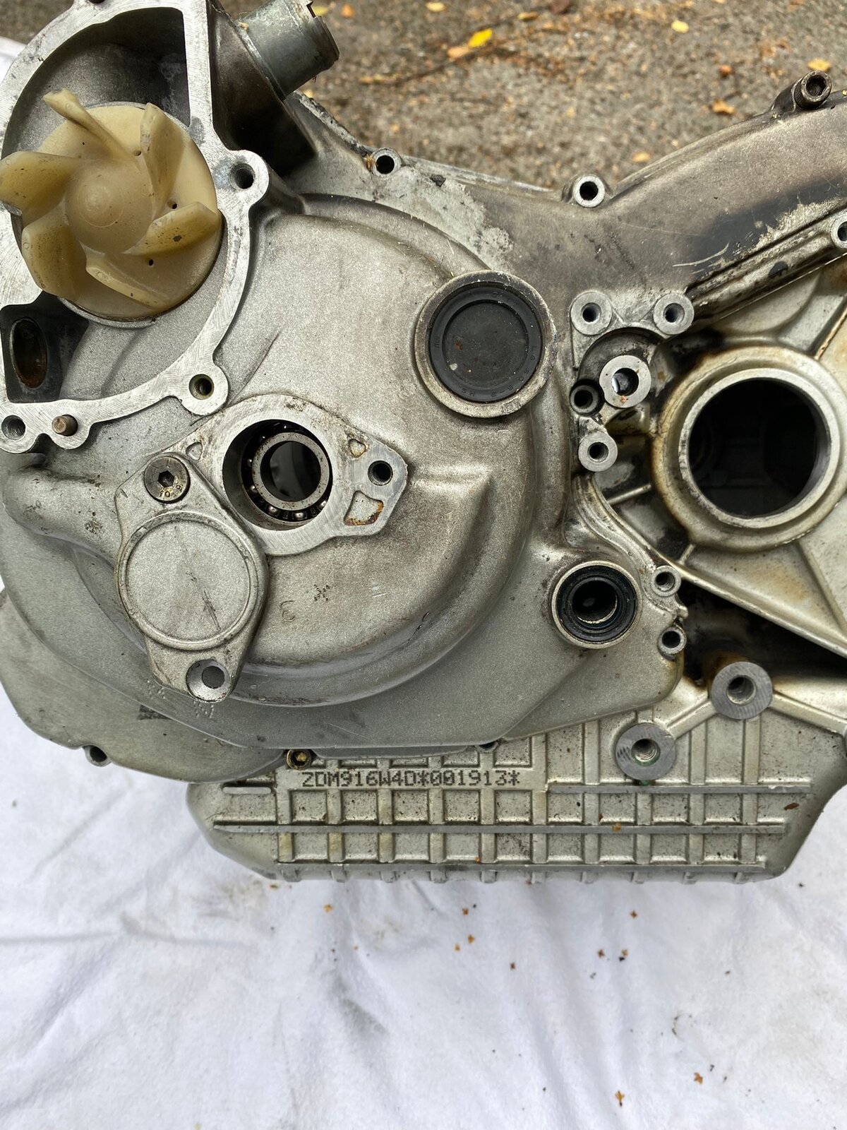 D21953F0-AC7E-4AD9-BDEA-F766C81D2824.jpeg