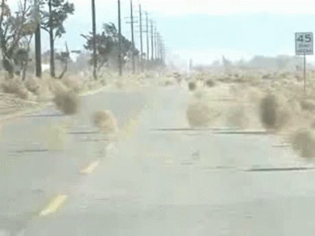 D7CC47EC-E69E-4A0C-94F5-822C6093AA9B.gif
