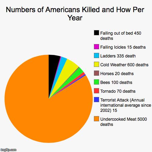Deaths in US.jpg