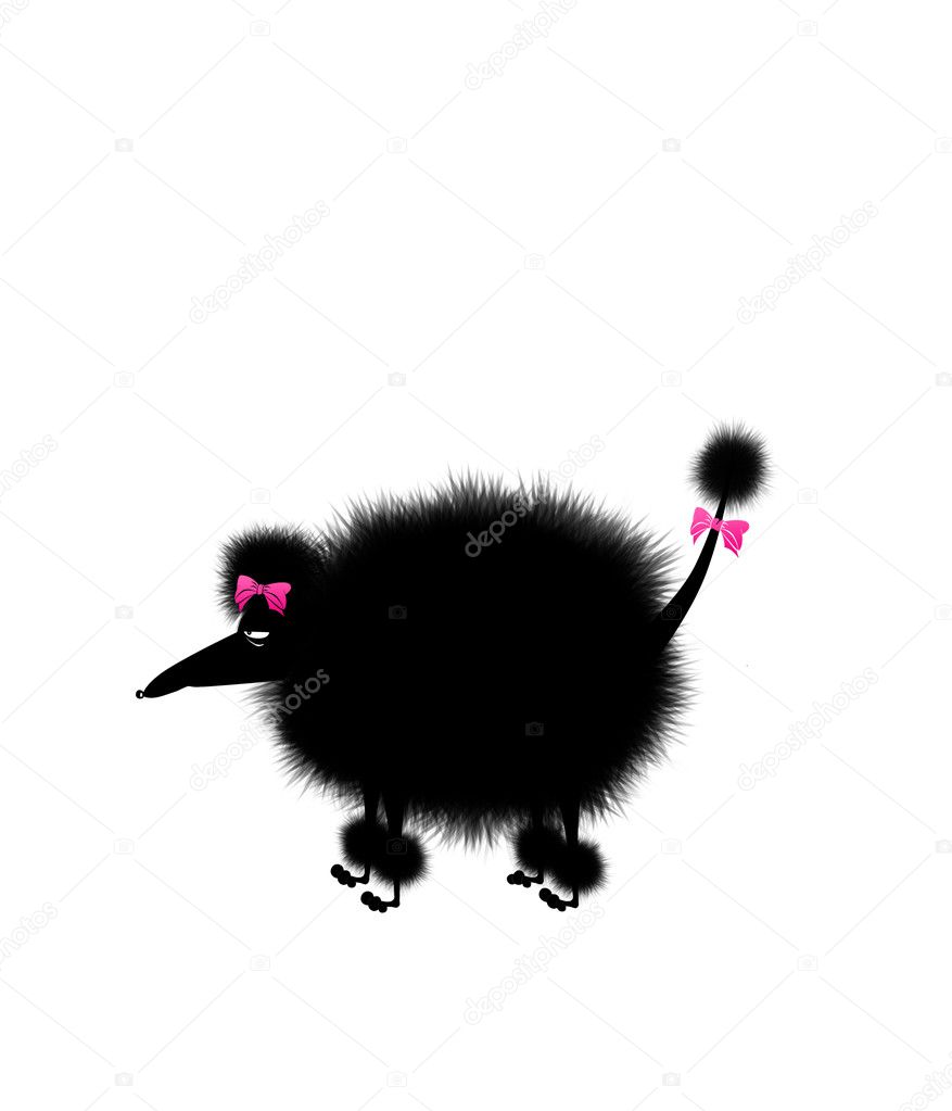 depositphotos_4674505-stock-photo-angry-poodle-doesnt-like-his.jpg