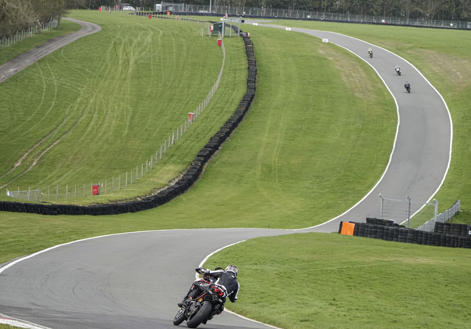 downloada_180324_6717_cadwell-.jpeg