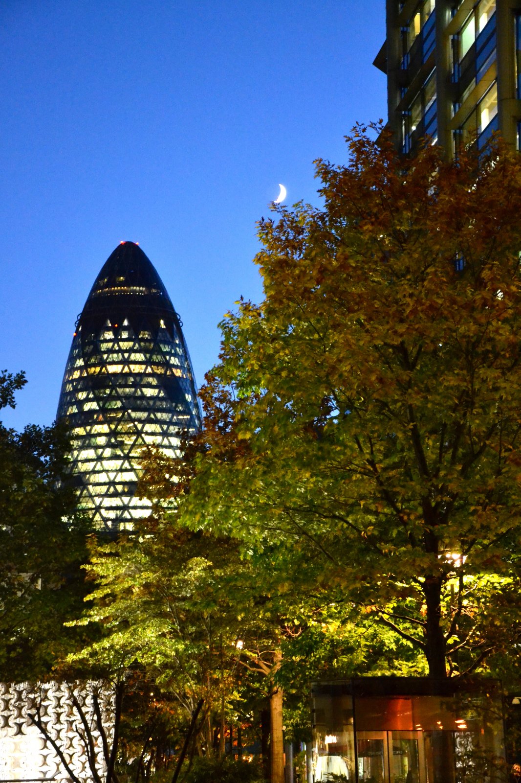 DSC_0052.jpg