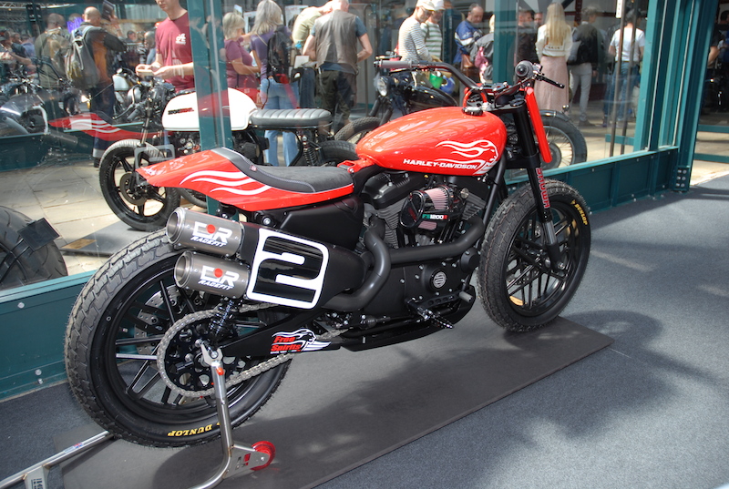 DSC_0666.JPG