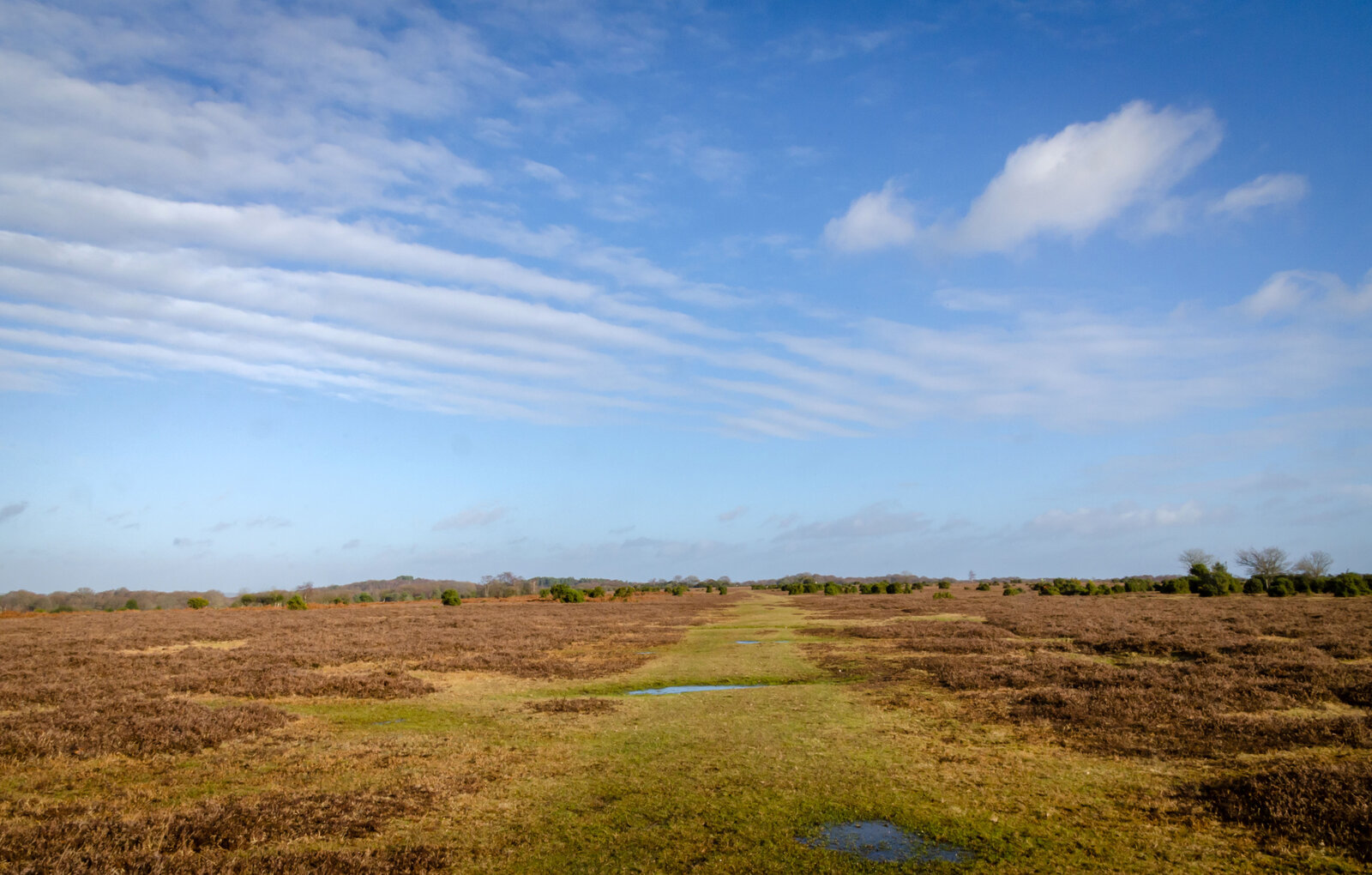 DSC_1555s.jpg