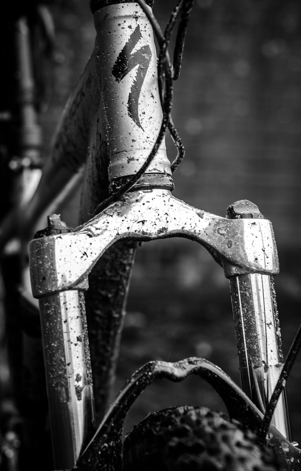DSC_1877s.jpg