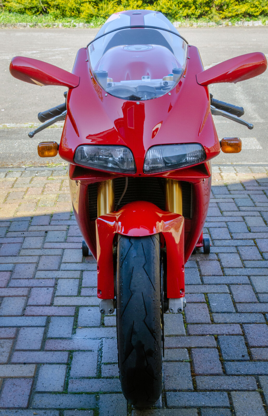 DSC_2144s.jpg