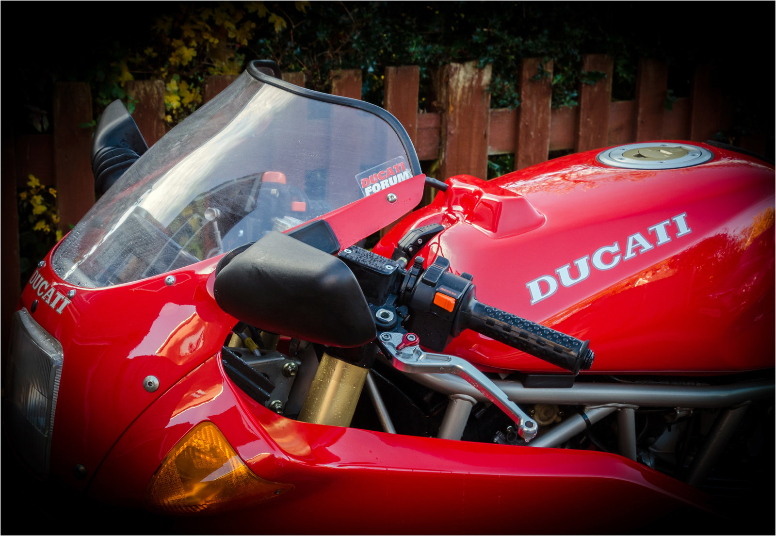 DSC_4752s.jpg