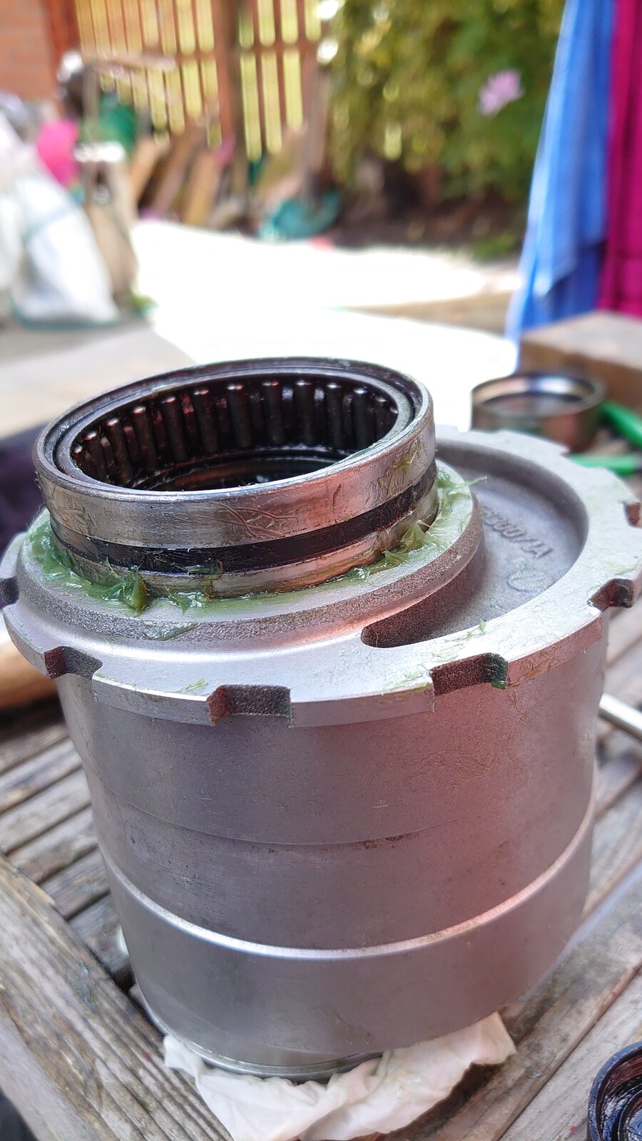 DSC_6394.JPG