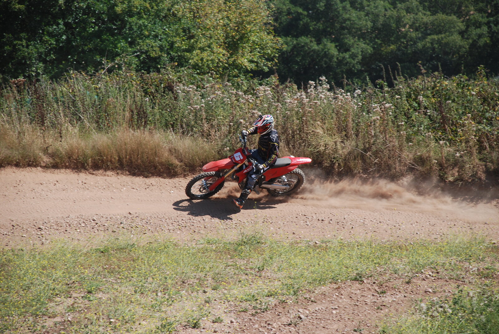 DSC_7229.JPG