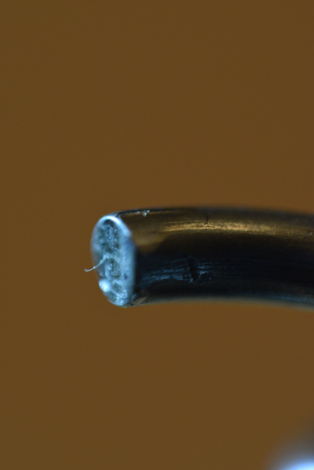 DSC_9121.JPG