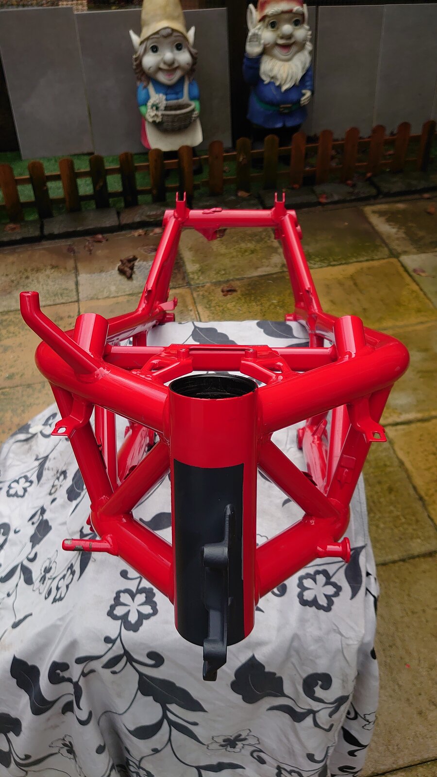 DSC_9582.JPG
