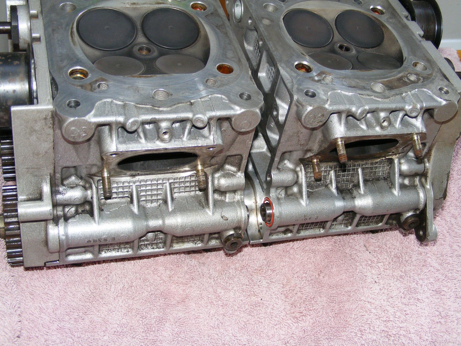 DSCF0381.JPG