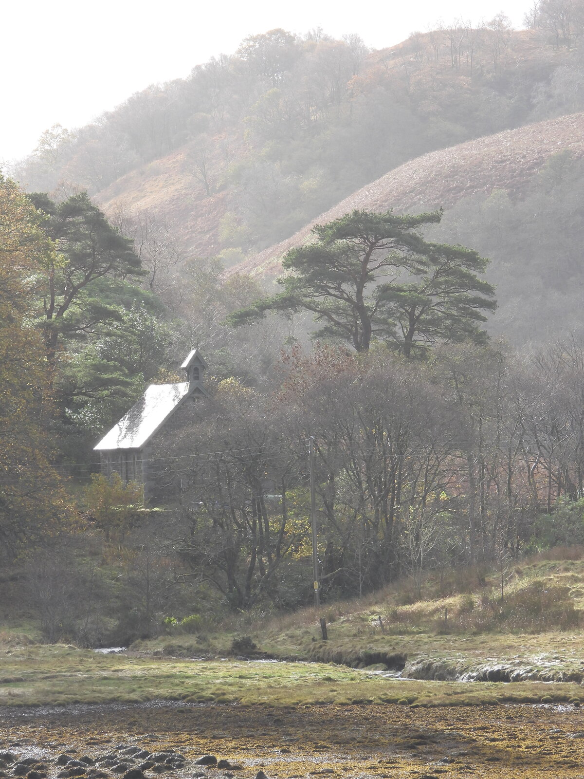 DSCN2361.JPG