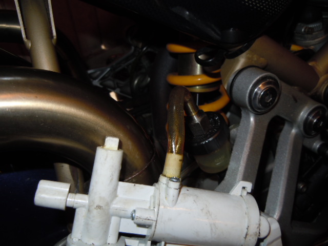 DSCN3126.jpg