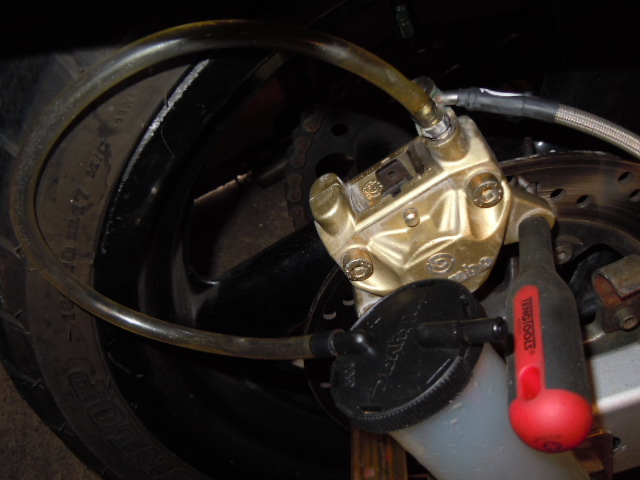 DSCN3127.jpg