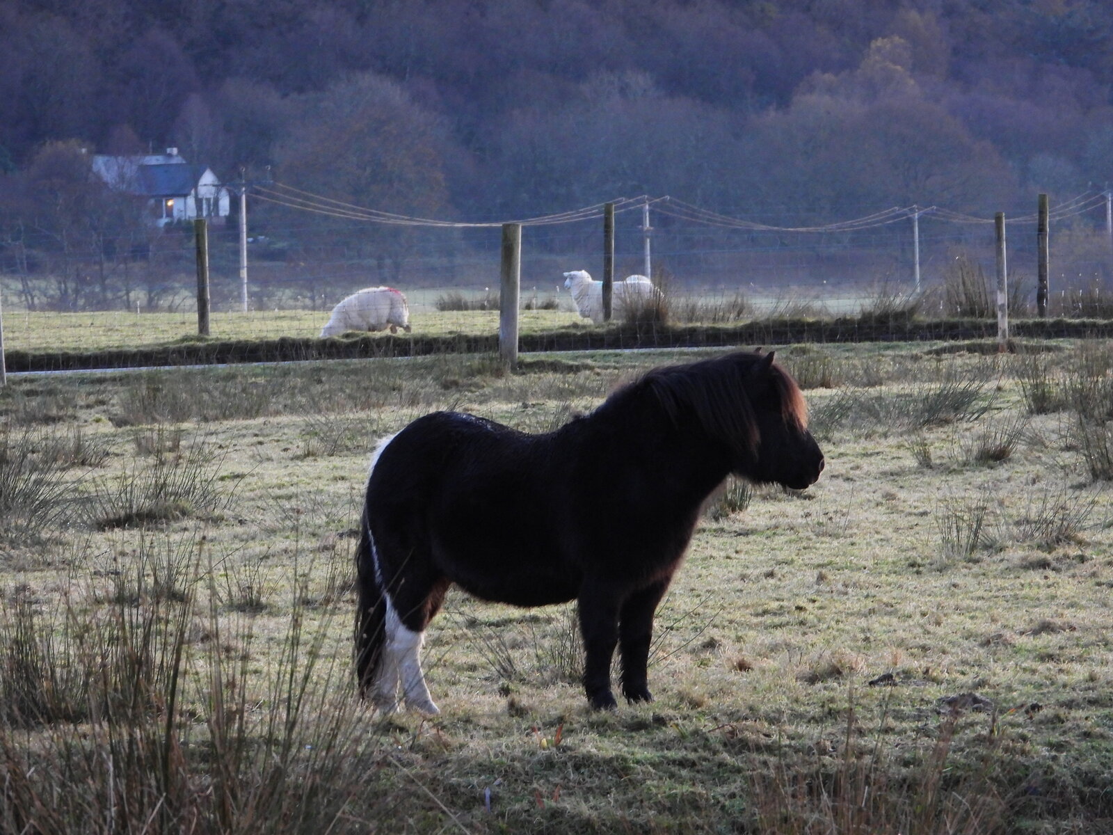 DSCN3393.JPG