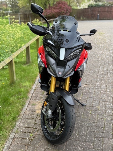 Duc 2.jpg
