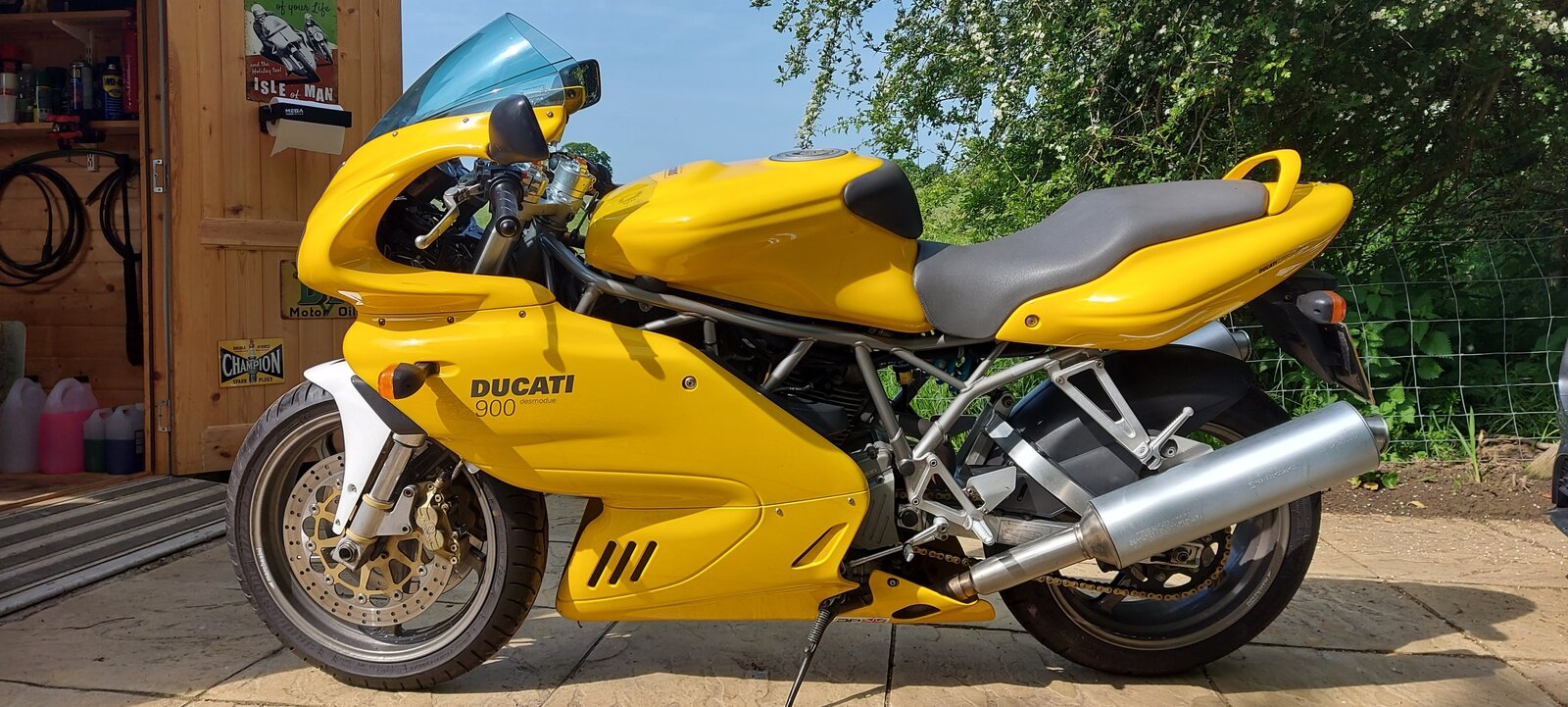 Duc 3.jpg