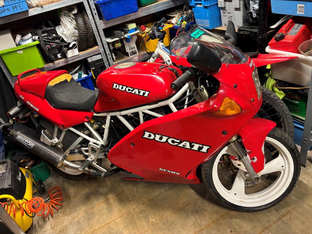 Duc LR.jpg