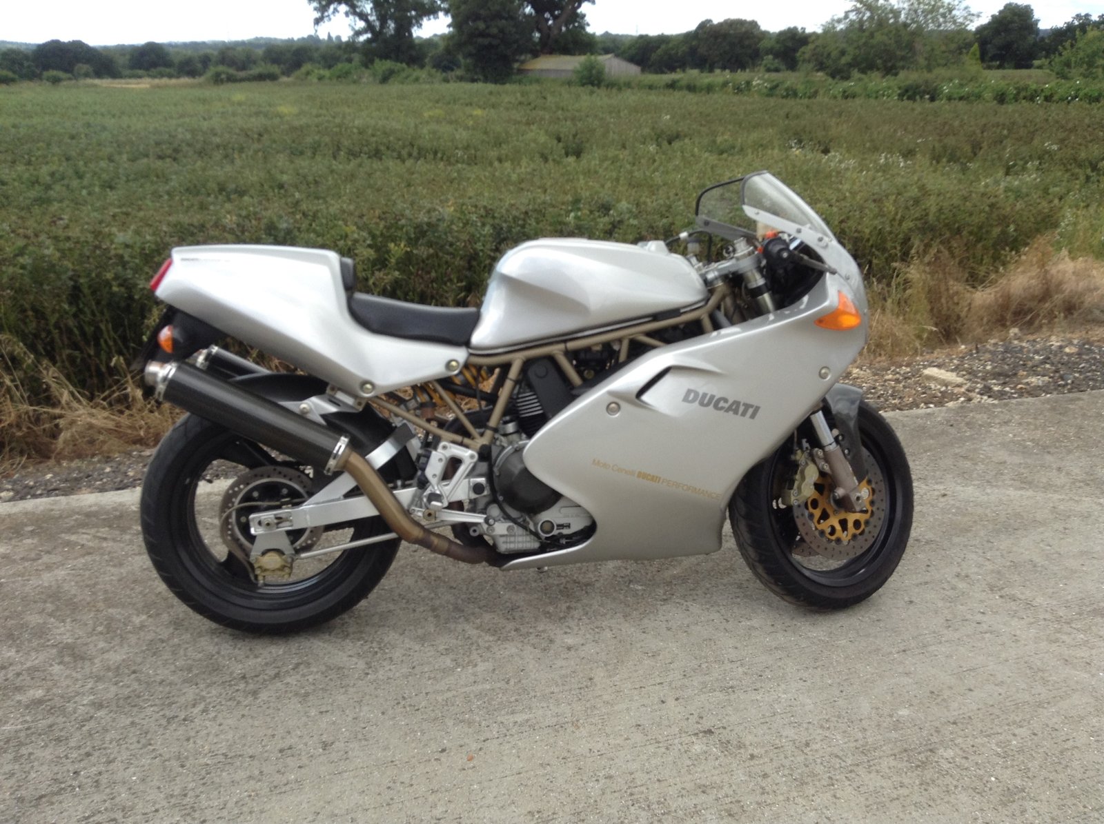 duc2.jpg