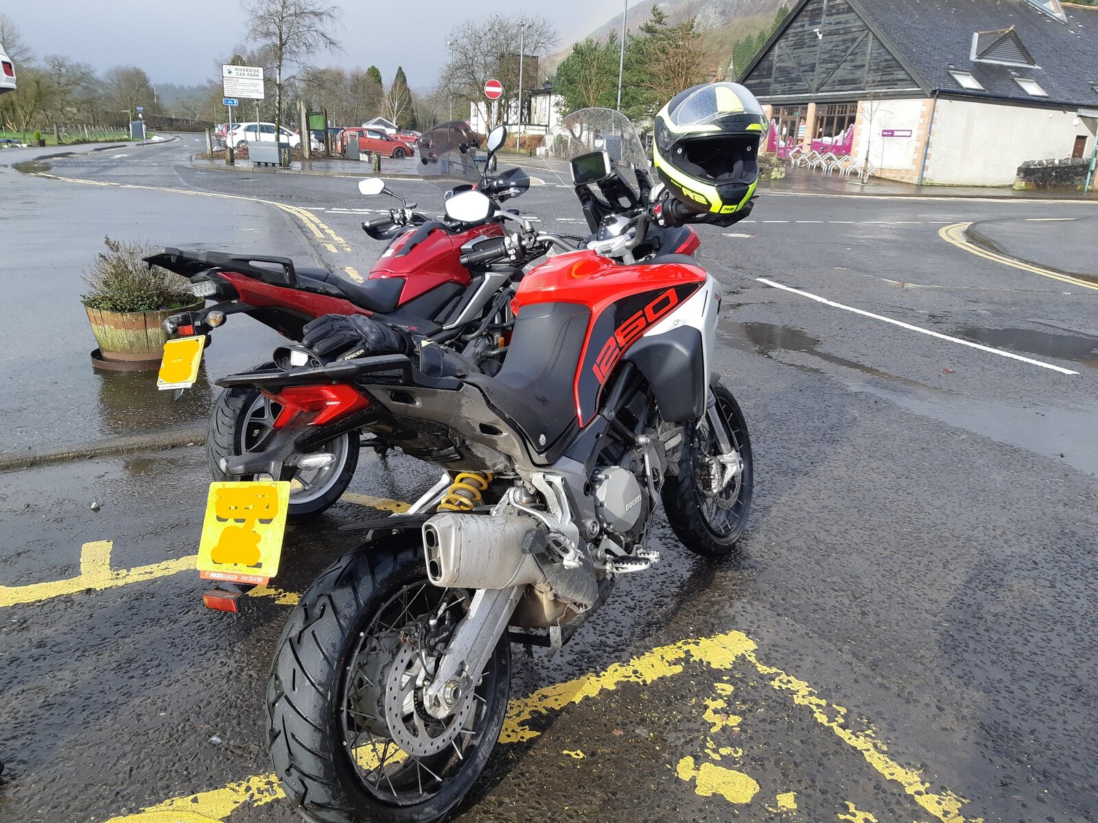 duc2.jpg