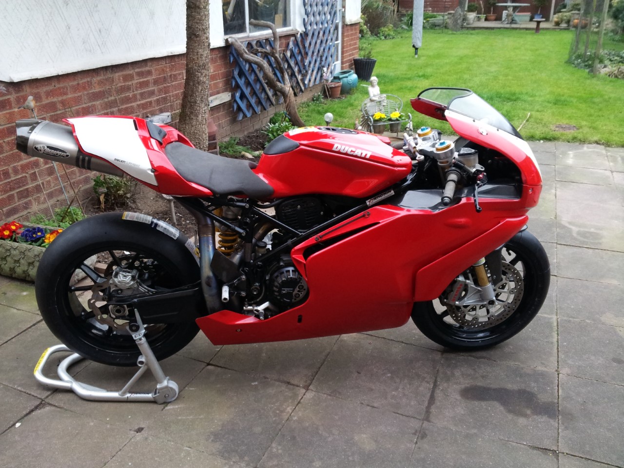 duc3.jpg