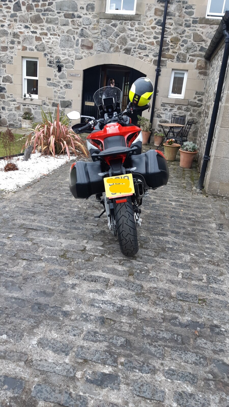 duc3.jpg