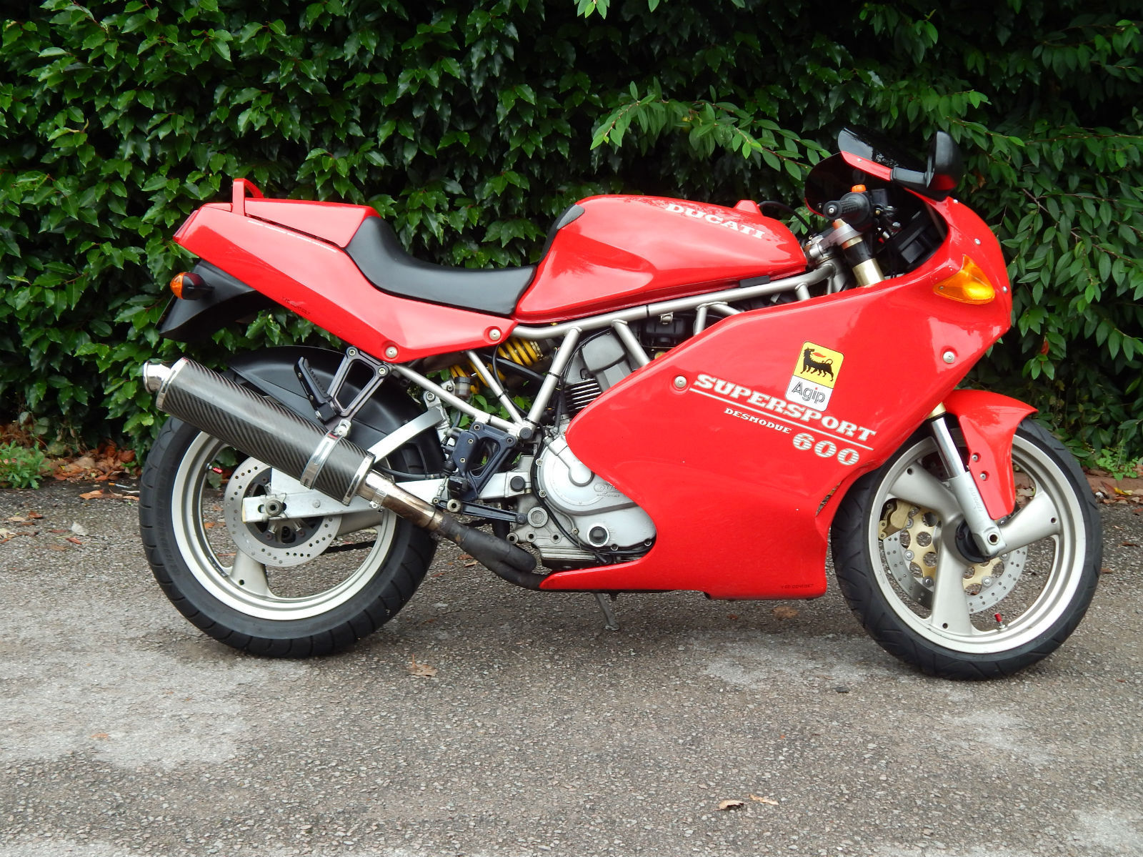 Ducati 600 SS 2.jpg