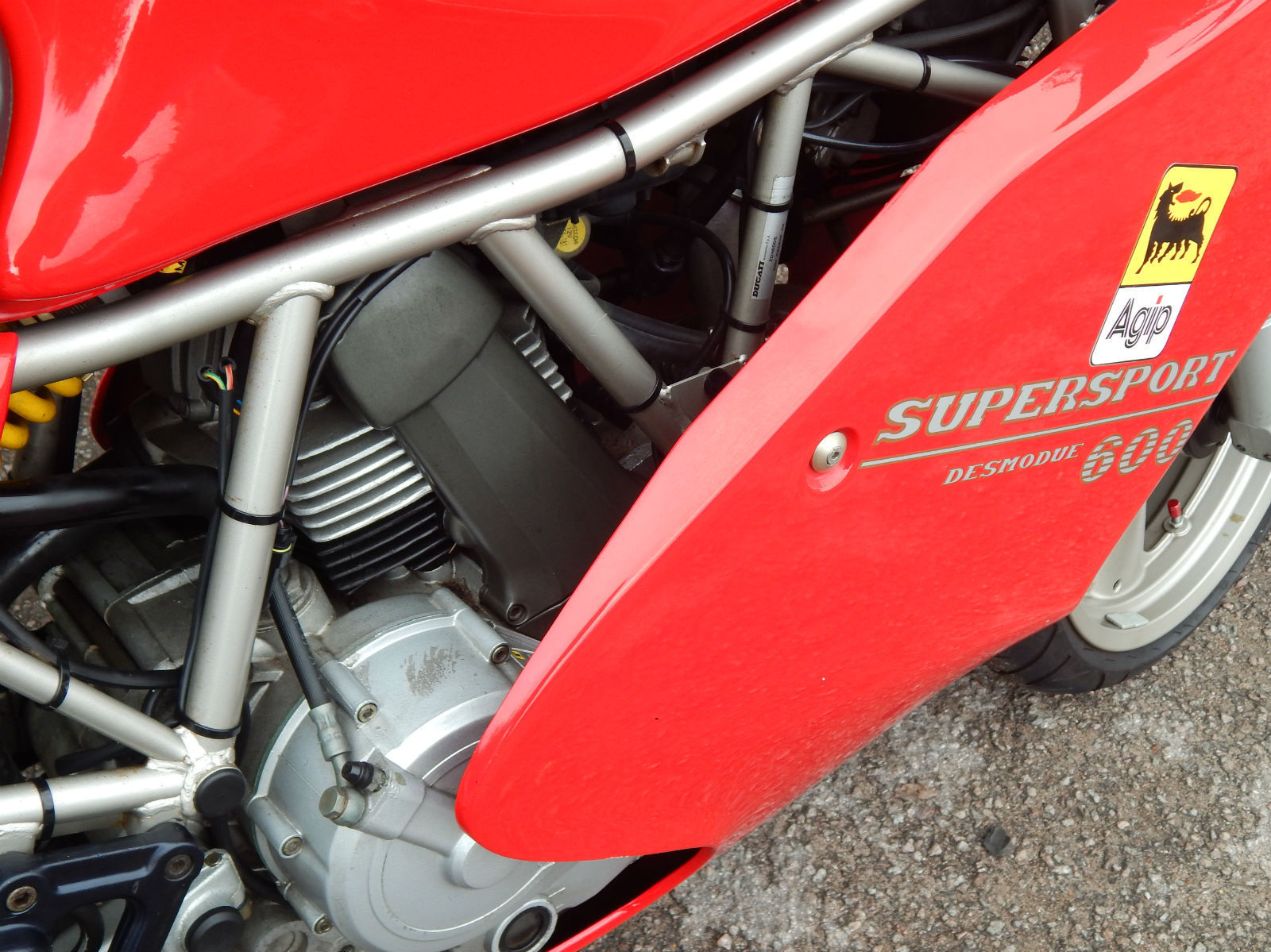 Ducati 600SS side veiw.jpg