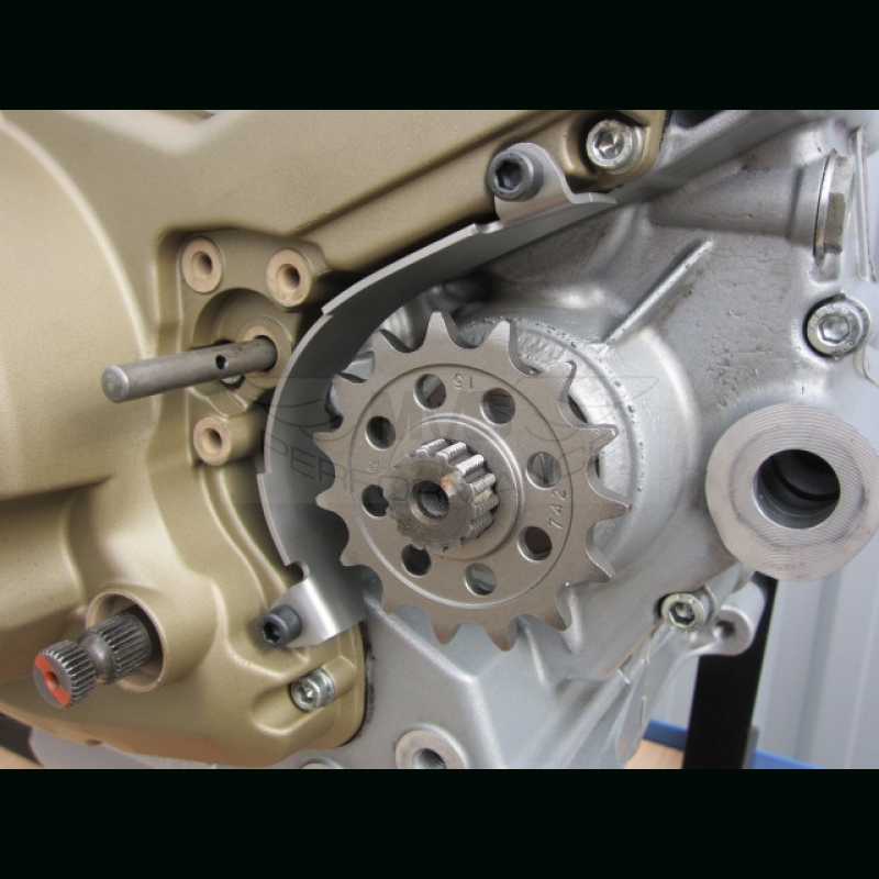 ducati-racing-engine-case-chain-guard.jpg