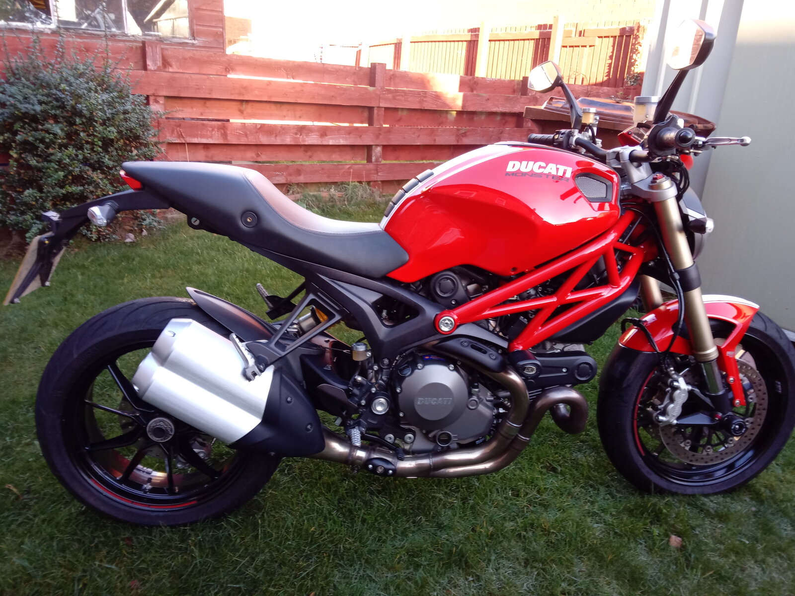 ducati standerd 001.jpg