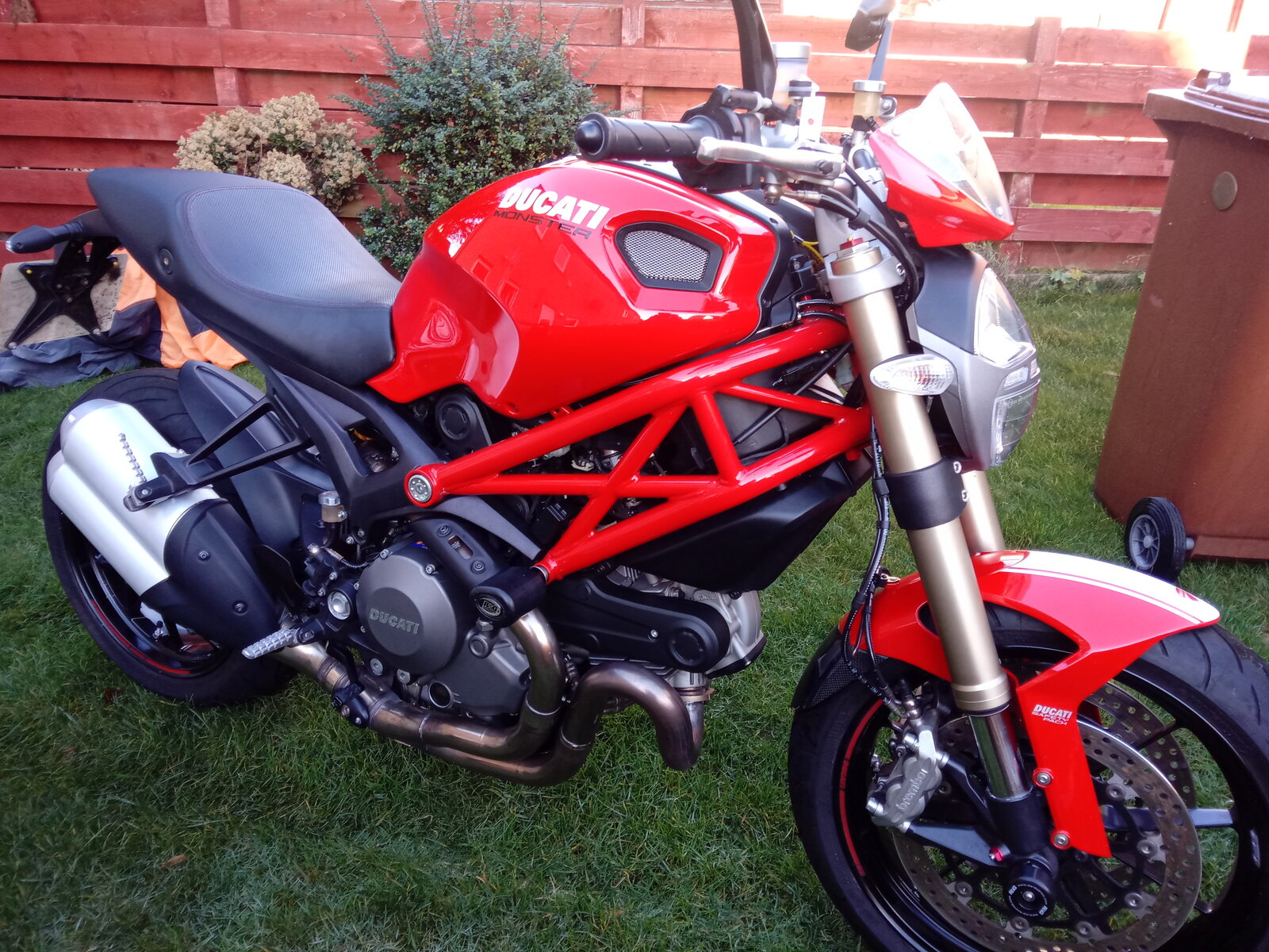 ducati standerd 002.jpg