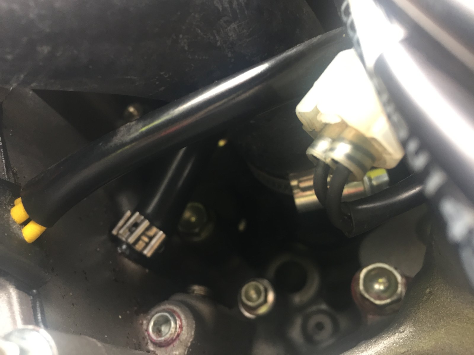 DUCATI  WATER LEAK 17-4-182018-04-18 at 7.31.37 pm 2.JPG