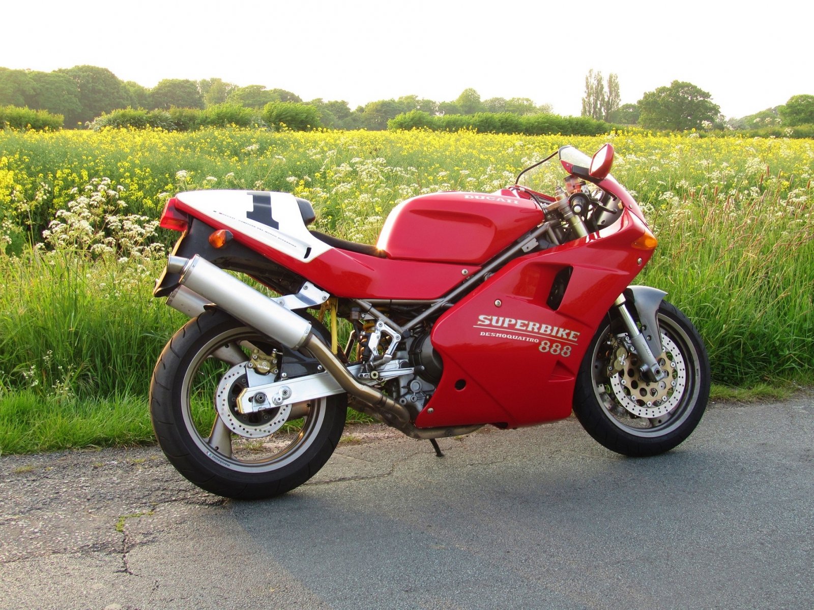 Ducatis 015.JPG