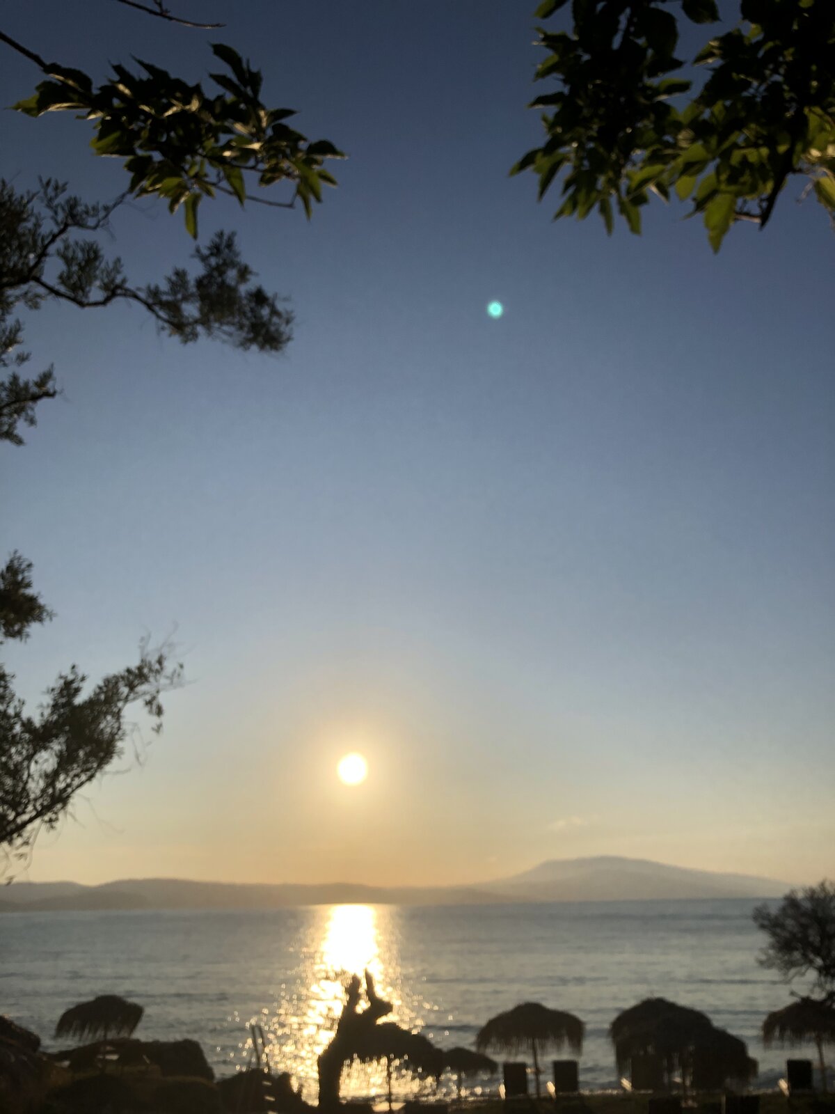 E1463F59-50A0-4A4A-A2D3-98D8AC6D7D45.jpeg