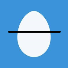 egg profile.png